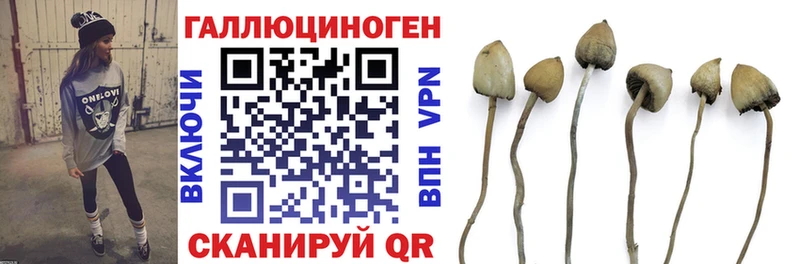 Купить где  Котовск  Галлюциногенные грибы прущие грибы 